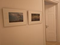 Bilder einer Ausstellung V - Sabine Grimm