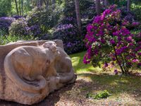 Rhododendron und Plastik im Zoo Rostock - Leni